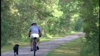 Senior Cyclist: Pt. 8