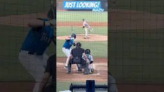 ⚾️Just Looking⚾️  3 Pitches, 0 Swings, Backwards K!  #Baseball #MA2tv #MILB #Strikeout