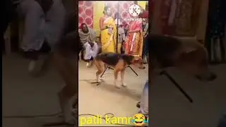 पतली कमरिया बोले हाय हाय✋✋