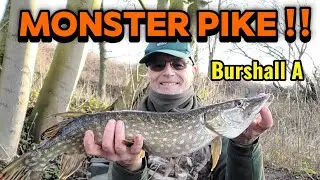  🔥 MONSTER PIKE DEADBAIT FISHING UK Float & Legered Deadbaits #pikefishing #UKpike