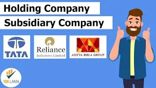 What is Holding and Subsidiary Company Explained in Hindi | with Examples