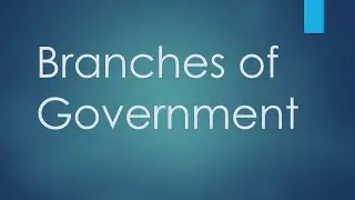 Branches of Government Notes