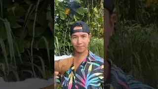 My First Ever CACANAHT MIIILK Video 👌🏽🥥