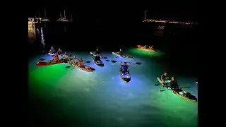 kayak tours in Key West at night
