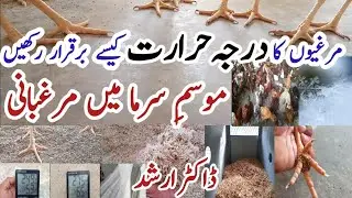 How to Keep Your Chickens Warm in Winter | Pakistan Poultry Farming in Winter 2020 | Dr Arshad