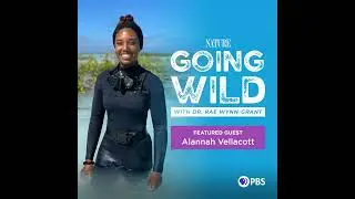 Slave Trade Shipwrecks + Saving Sharks: Meet Alannah Vellacott