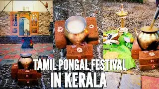 വീട്ടിൽ മകരമാസ പൊങ്കല makara pongal malayalam, Pongal Festival celebration kerala, pongal in kerala