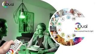 iDual - Remote Control LED Lighting