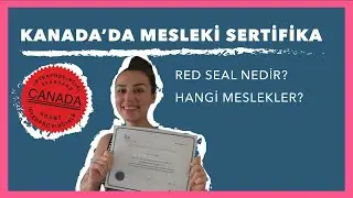 Kanada'da Aranılan Meslekler ve En Önemli Sertifika 
