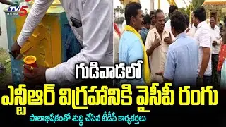 గుడివాడలో ఎన్టీఆర్ విగ్రహానికి వైసీపీ రంగు | YCP Color To NTR Statue In Bommaluru | TV5 News Digital