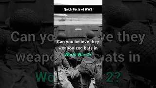 🦇 The Bizarre Bat Bombs of WWII 💣🤯 #WWII #History #Shorts