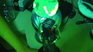 Roswell Alien Amber Stout Reaction - HootyHaHa's Beer Videos