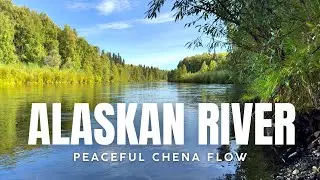 4K Peaceful Chena River Flow | Relaxing Nature Video from Alaska