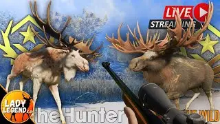 Taking a Break From the 5,604 Kill Wild Boar Grind&hellip; Back to My BEST Grind 😈 | COTW Live