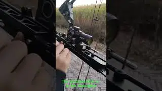 Steel Ball Compound Bow Kit, Dual Purpose Bow #slinsghot #outdoors #compoundbow #bowfishing