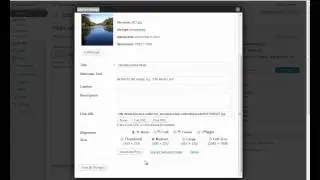 Wordpress Tutorial - Media Settings