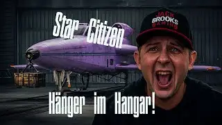 STAR CITIZEN | Frachthandel-Horror | Erst kriminell, dann verwirrt, dann auf Achse