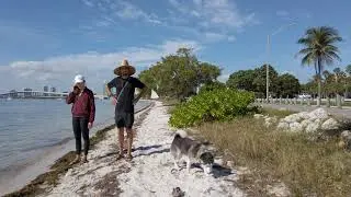 4K Walk: Key Biscayne Florida