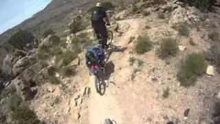 Bob Ibex test run
