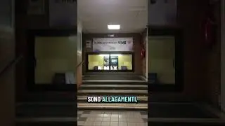 Pavia Il Mercato Ipogeo