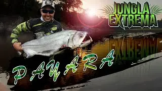PAYARAS GIGANTES, RIÓ GUAYABERO l Jungla Extrema Fishing Tours - Colombia