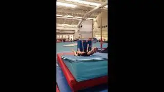 Cygnus recreational- silver - bars routine