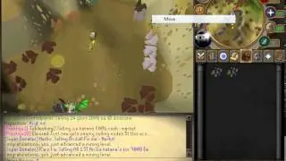Fast mining leveling Dreamscape317