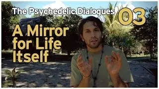The Psychedelic Dialogues 03: A Mirror for Life Itself