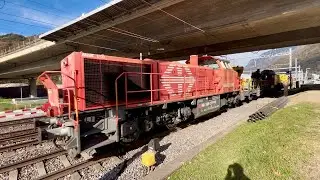 #366# TRENI MERCI - Trasferimento carri merci a Castione-Arbedo! #alptransit 