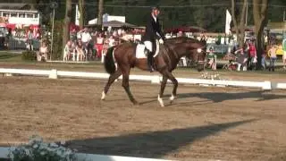 Escolar von Estobar NRW x Fürst Piccolo , 3j. Hengst
