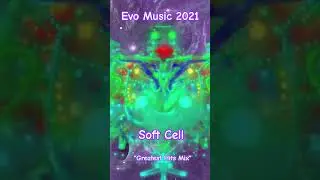 Evo Music 2021     #EvoMusic2021 #SoftCellMix