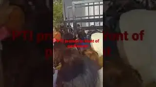 #pti #ptipakistan #ptiprotest #parliament #parliamentarians #protest #pk #shorts #youtubeshorts