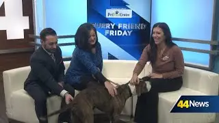 Furry Friend Friday: Meet Rocco