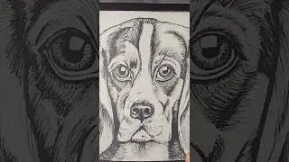 Técnica de Achurado #drawing #art #dibujo #drawdrawing #draw #shorts #arte #beagle #dibujosfaciles