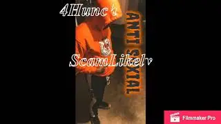 4Hunchoo DP x ScamLikely
