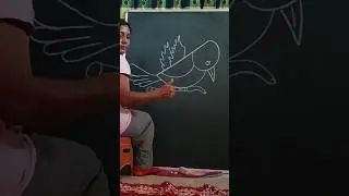 Flying bird drawing easy with letter P #art #shorts #artwithsb