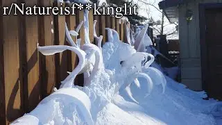 r/Natureisf**kinglit | the snow is alive