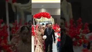 Malabar wedding / sadikkali❤️ayisha /#shortvideo #wedding #bride #groom