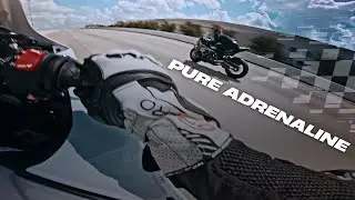 Chasin a Track Rider | S1000RR vs GSXR1000 vs Panigale V4s
