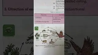 A Food Web in a grassland ecosystem with five possible food chains