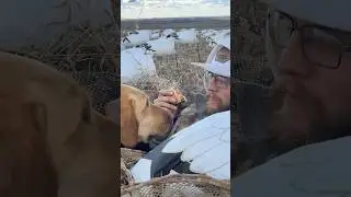 The Best Blind Snack! #hunting #dogs #waterfowl #birds #snowgeese