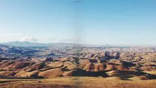 Greedy - Vibe Tracks