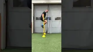 2x Linear/Reverse Reactive DL Hurdle Hop - DL Stick