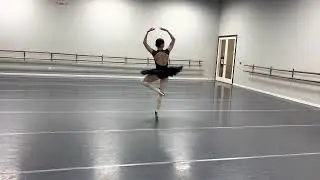 Classical: Sugar Plum Fairy Variation&mdash; Nutcracker 2022