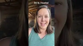 Corn VS wood burner