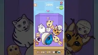 Merge fellas CAT MOD new update#brainrot #game #mergefellas