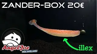 Exotische Köder? 20€ Zander MysteryBox Angel Joe I Unboxing Wasser-Test