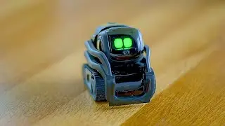 Vector Robot by Anki with Amazon Alexa