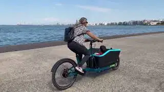Cube cargo ride