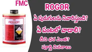 FMC #ROGOR how to control  Westernnever follower tips cotton chilli Dimethoate 30%EC